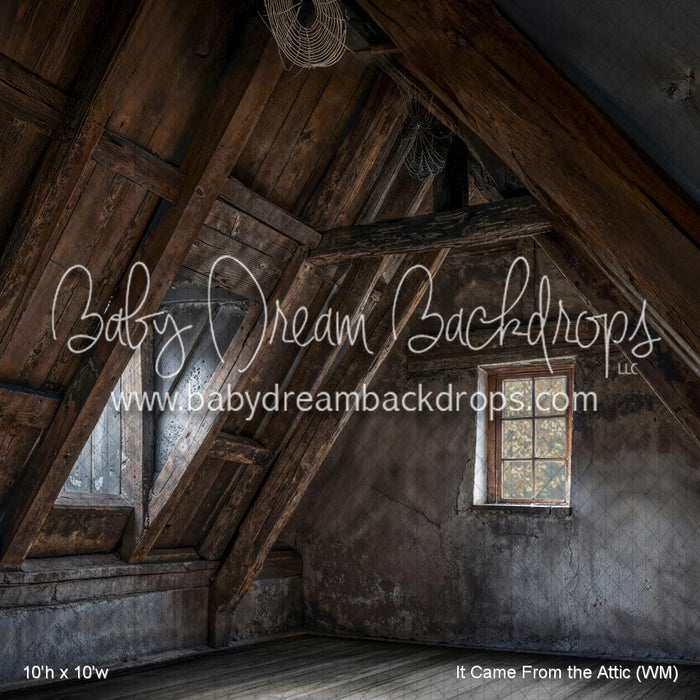 It Came From the Attic (WM)