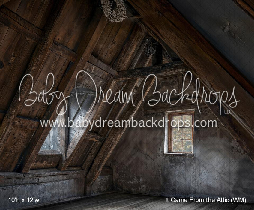 It Came From the Attic (WM)