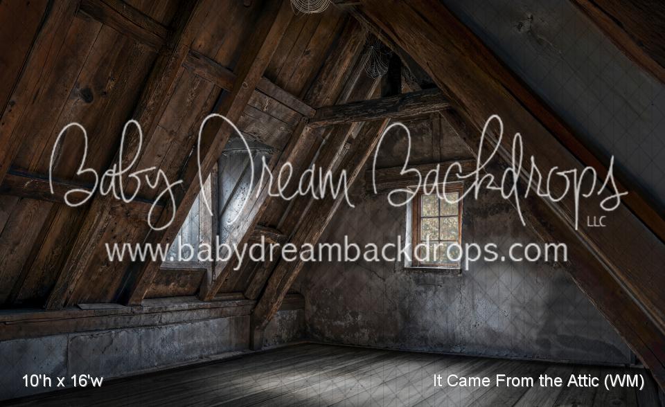 It Came From the Attic (WM)