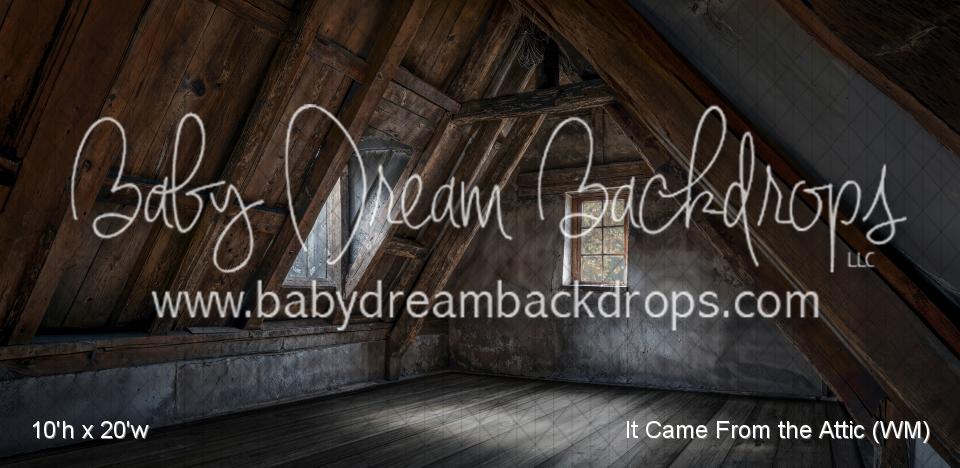 It Came From the Attic (WM)