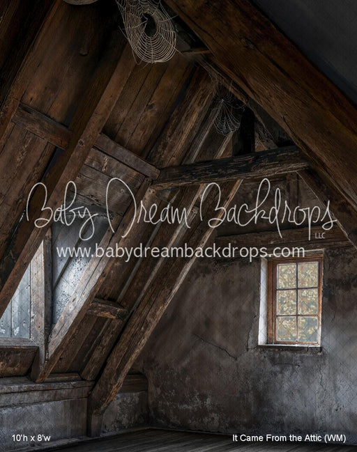 It Came From the Attic (WM)