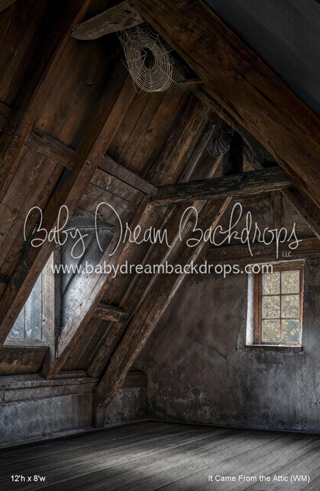 It Came From the Attic (WM)