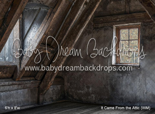 It Came From the Attic (WM)