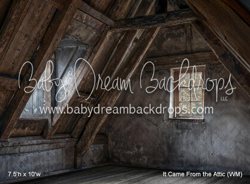 It Came From the Attic (WM)