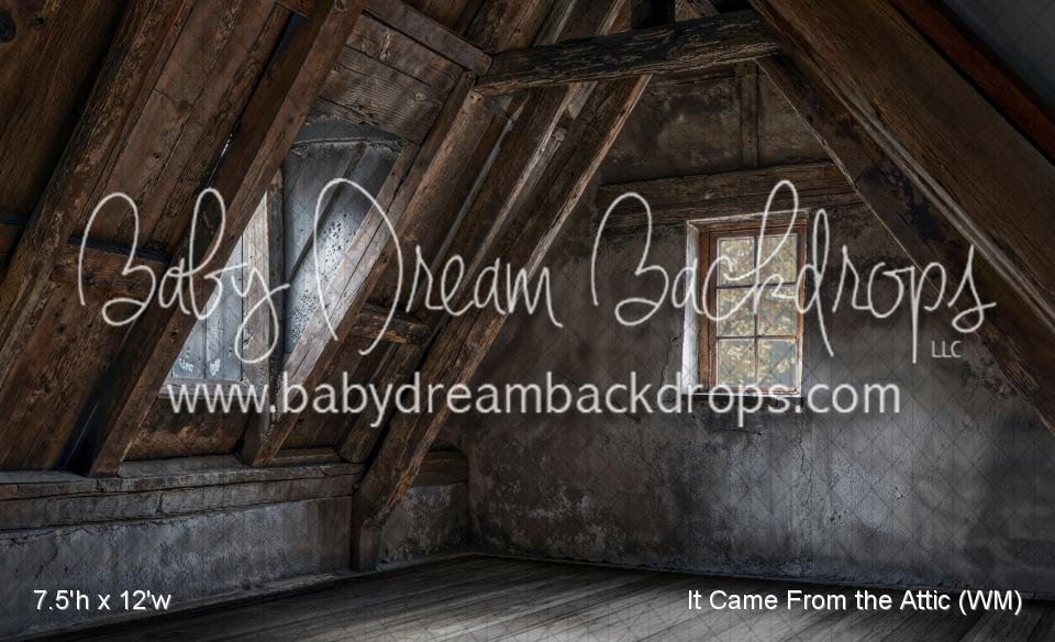 It Came From the Attic (WM)