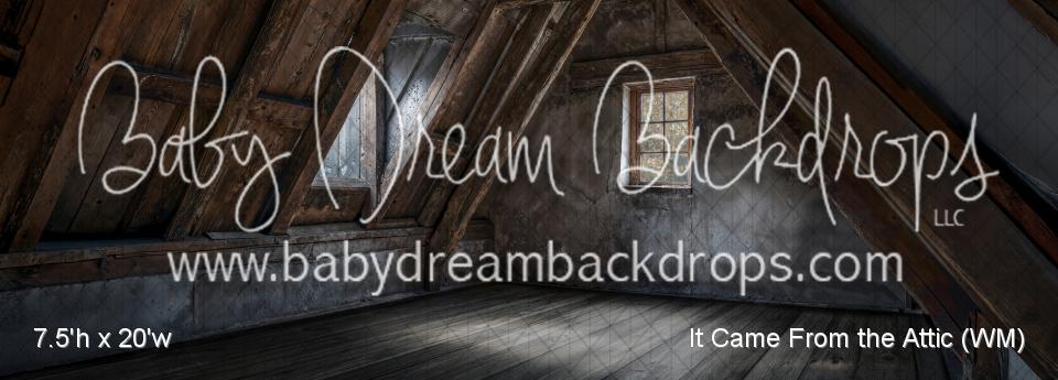 It Came From the Attic (WM)