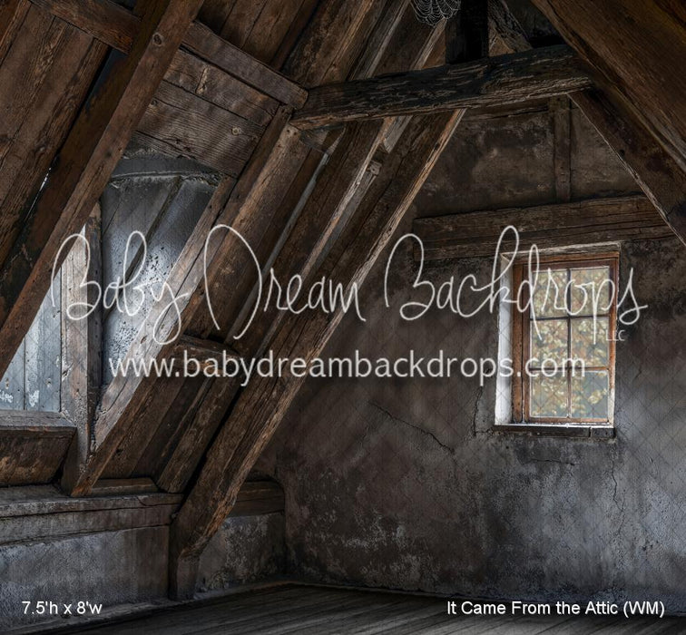 It Came From the Attic (WM)