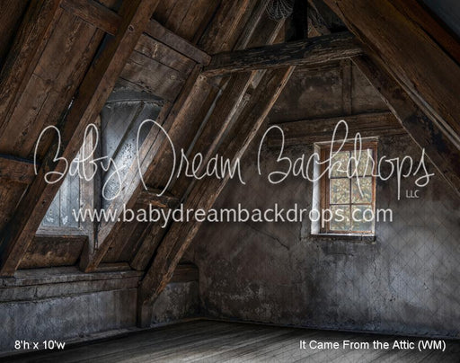 It Came From the Attic (WM)