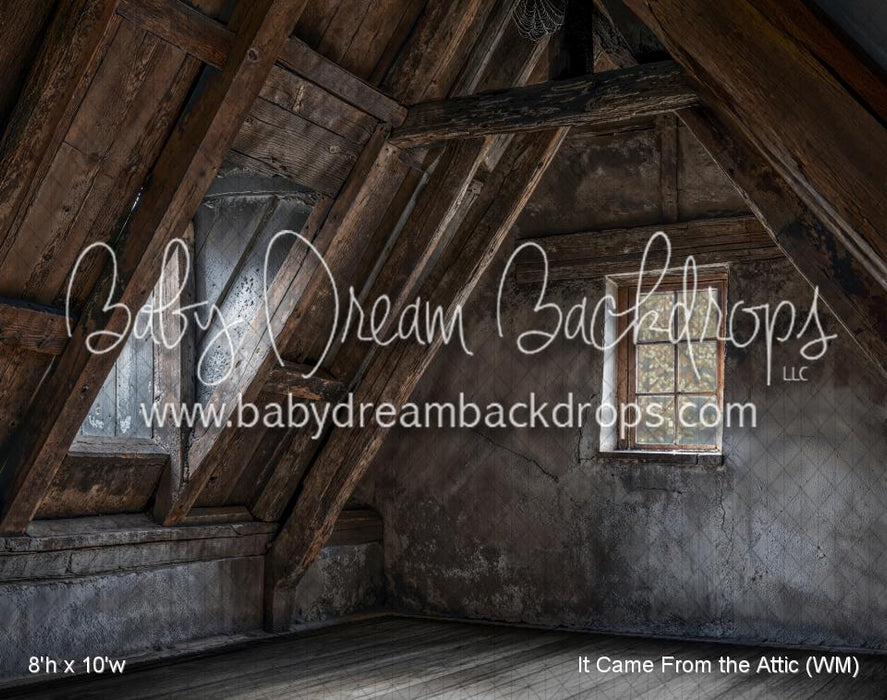 It Came From the Attic (WM)