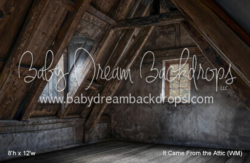 It Came From the Attic (WM)