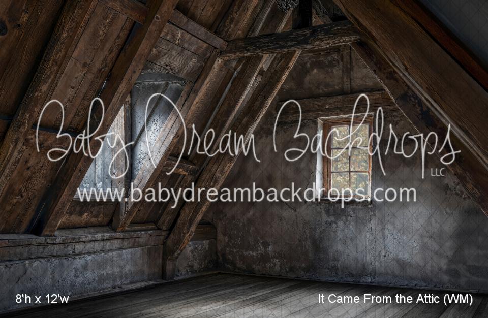 It Came From the Attic (WM)