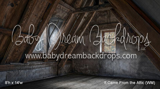 It Came From the Attic (WM)
