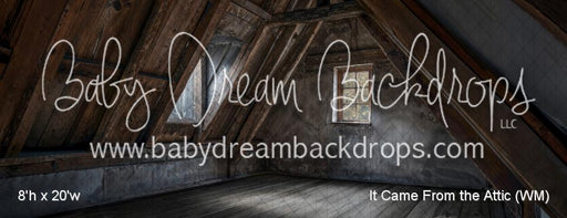 It Came From the Attic (WM)