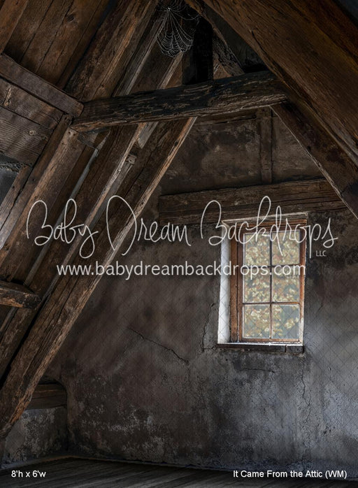 It Came From the Attic (WM)