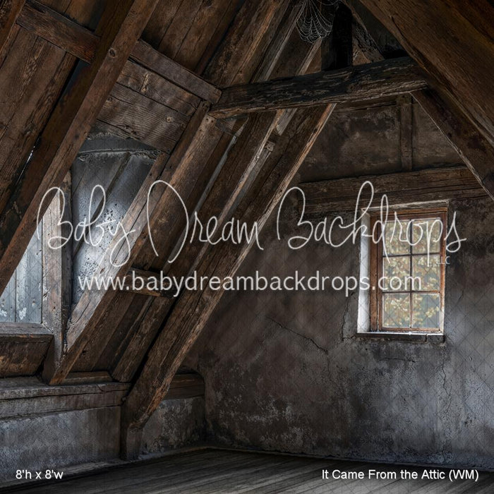 It Came From the Attic (WM)