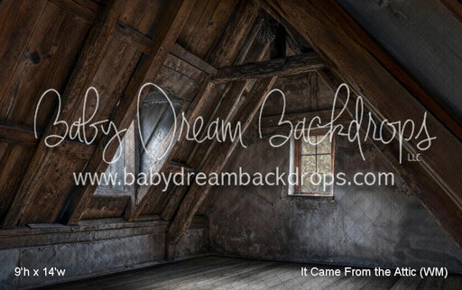 It Came From the Attic (WM)