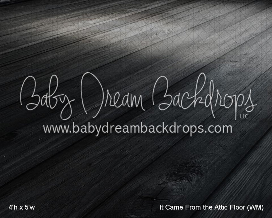 It Came From the Attic Floor (WM)