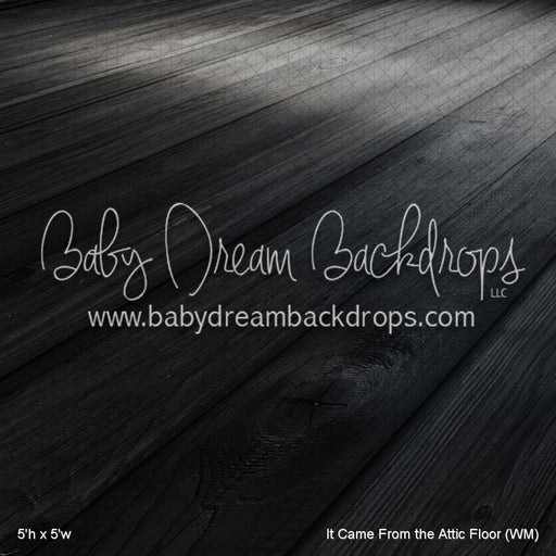 It Came From the Attic Floor (WM)