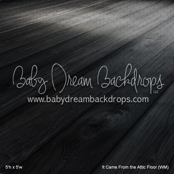 It Came From the Attic Floor (WM)