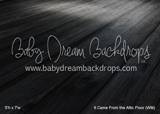 It Came From the Attic Floor (WM)