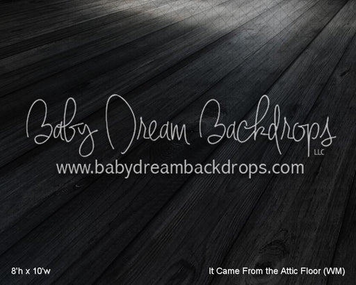 It Came From the Attic Floor (WM)