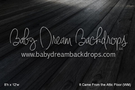 It Came From the Attic Fabric Floor (WM)