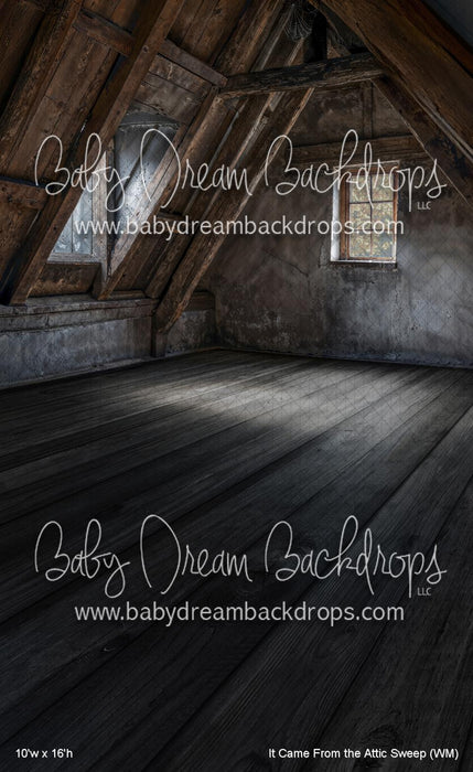 It Came From the Attic Sweep (WM)