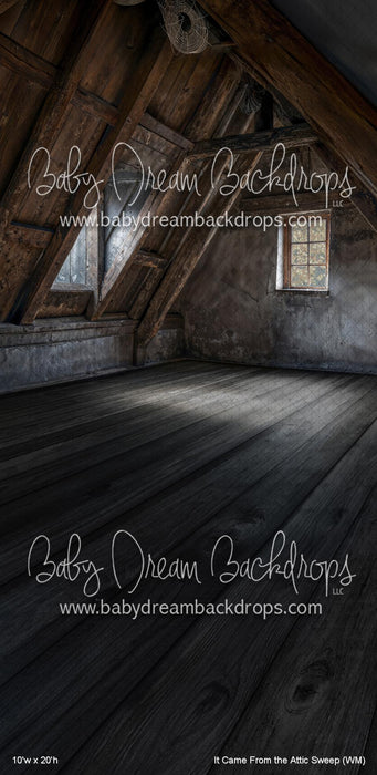 It Came From the Attic Sweep (WM)