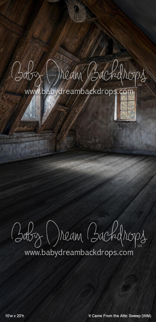 It Came From the Attic Sweep (WM)