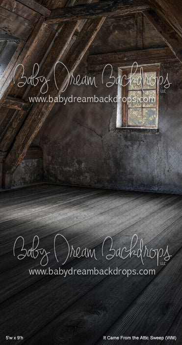 It Came From the Attic Sweep (WM)