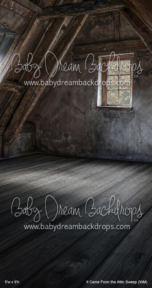 It Came From the Attic Sweep (WM)