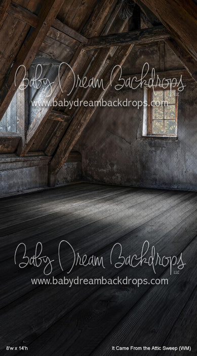 It Came From the Attic Sweep (WM)