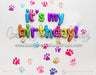 It's My Birthday Paws (AZ)