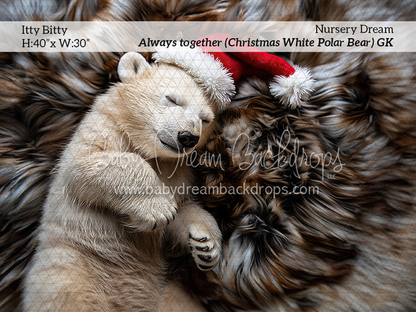 Itty Bitty Always together (Christmas White Polar Bear) (GK)