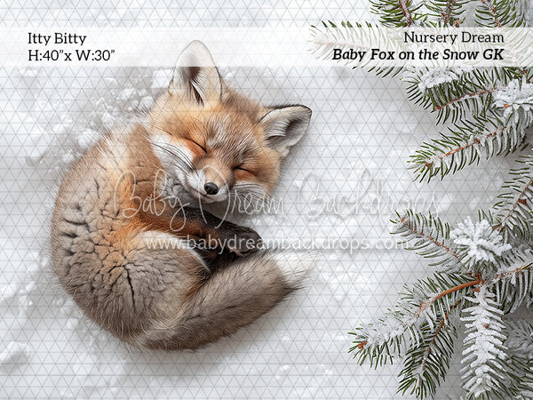 Itty Bitty Baby Fox on the Snow (GK)