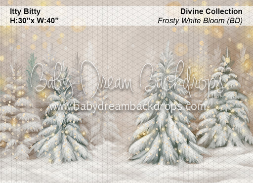 Itty Bitty Divine Frosty White Bloom (BD)