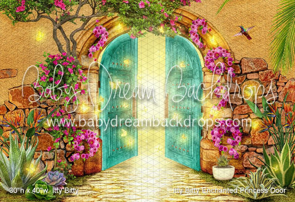 Itty Bitty Enchanted Princess Door (WM)