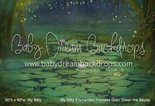 Itty Bitty Enchanted Princess Goin' Down the Bayou (WM)