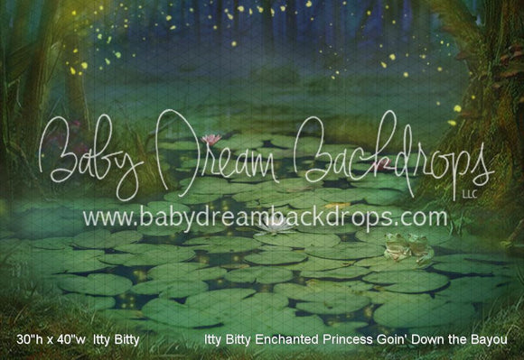 Itty Bitty Enchanted Princess Goin' Down the Bayou (WM)