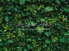 Itty Bitty Jungle Greens Wall (CC)