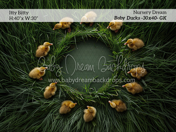 Itty Bitty Nursery Dream Baby Ducks (GK)