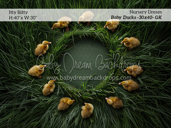 Itty Bitty Nursery Dream Baby Ducks (GK)