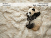 Itty Bitty Nursery Dream Baby Panda (GK)