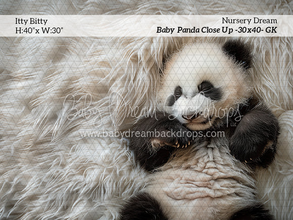 Itty Bitty Nursery Dream Baby Panda Close Up (GK)