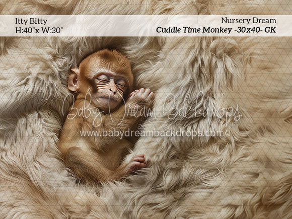 Itty Bitty Nursery Dream Cuddle Time Monkey (GK)