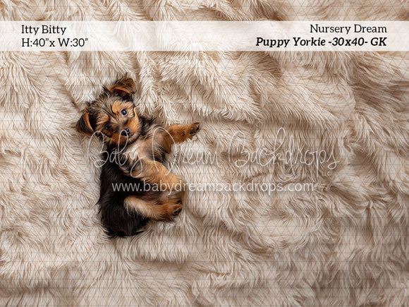 Itty Bitty Nursery Dream Puppy Yorkie (GK)