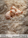 Itty Bitty Nursery Dream Three Little Pigs (GK)