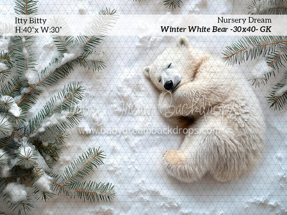 Itty Bitty Nursery Dream Winter White Bear (GK)