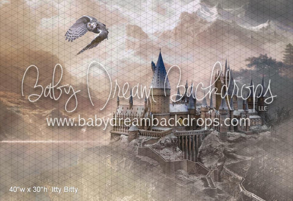 Itty Bitty School for Witches & Wizards (WM)