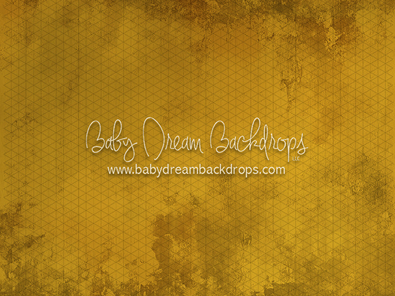 Itty Bitty Solstice Solara (CC)